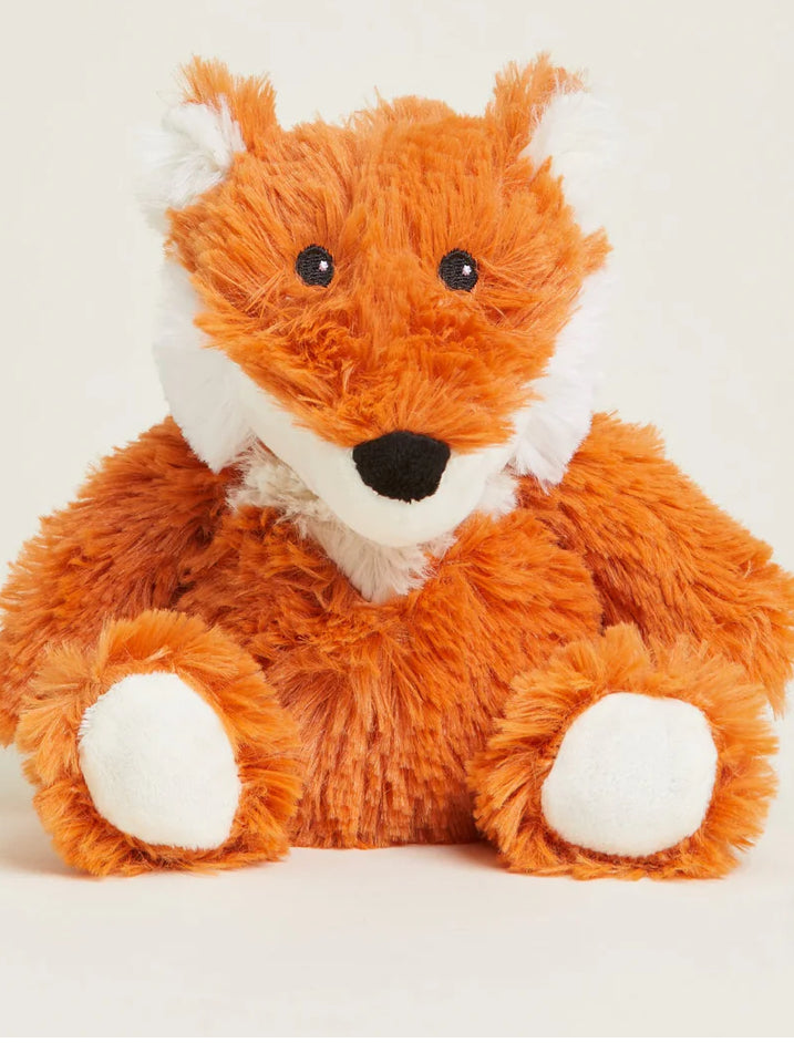 Fox jr