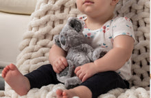 Load image into Gallery viewer, Koala rattling plush

