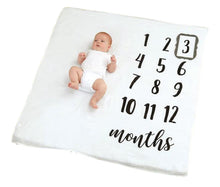 Load image into Gallery viewer, Monthly Milestone baby blanket
