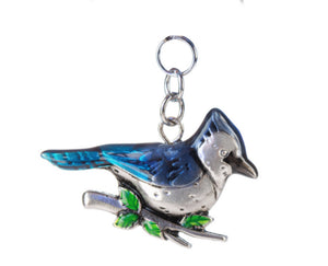 Blue Jay with charm