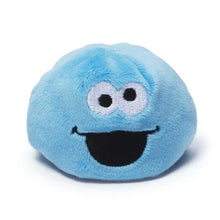 Load image into Gallery viewer, Sesame Street beanbag pal
